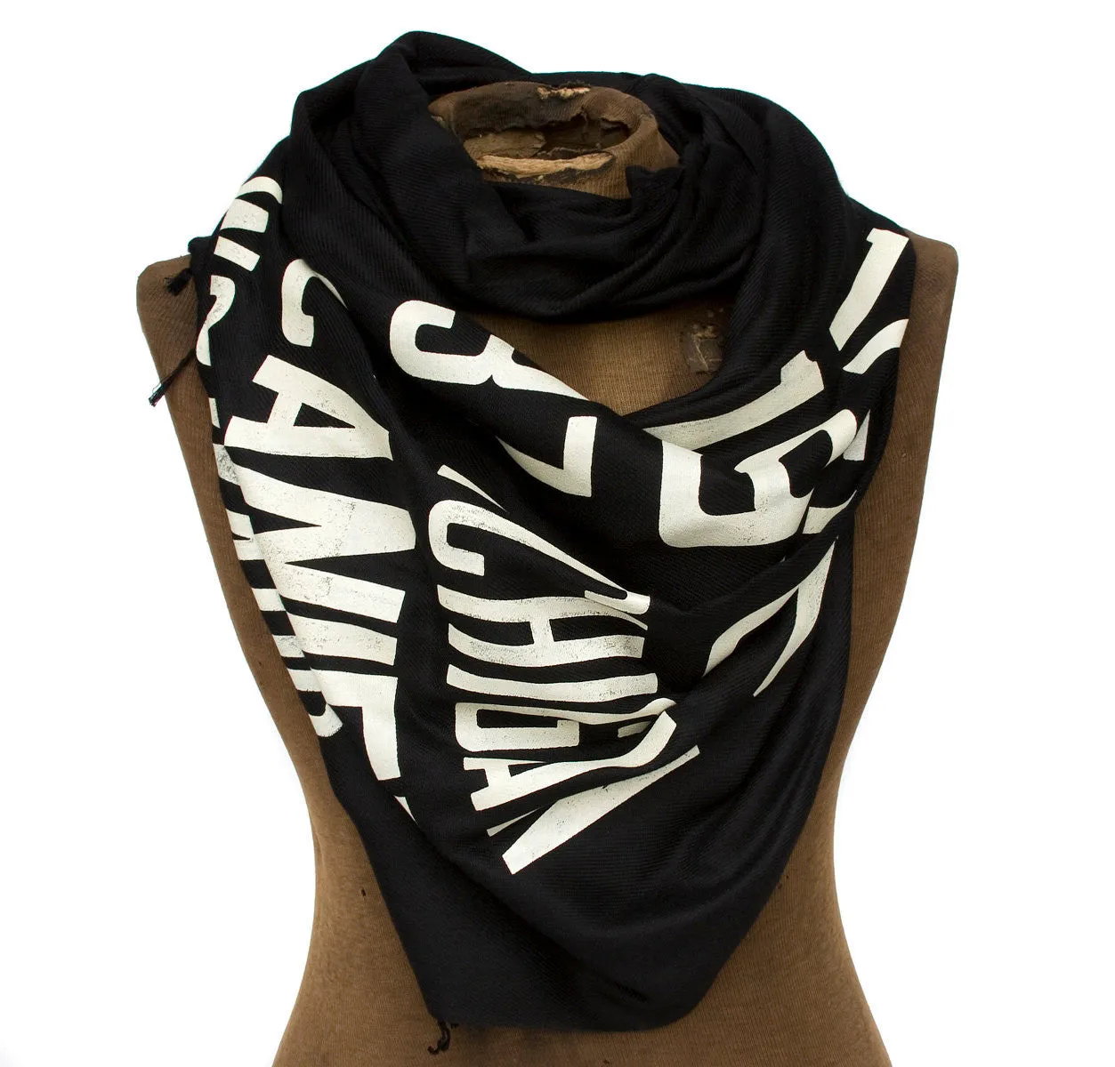 Bus Scroll Scarf: Detroit Main Routes Pashmina