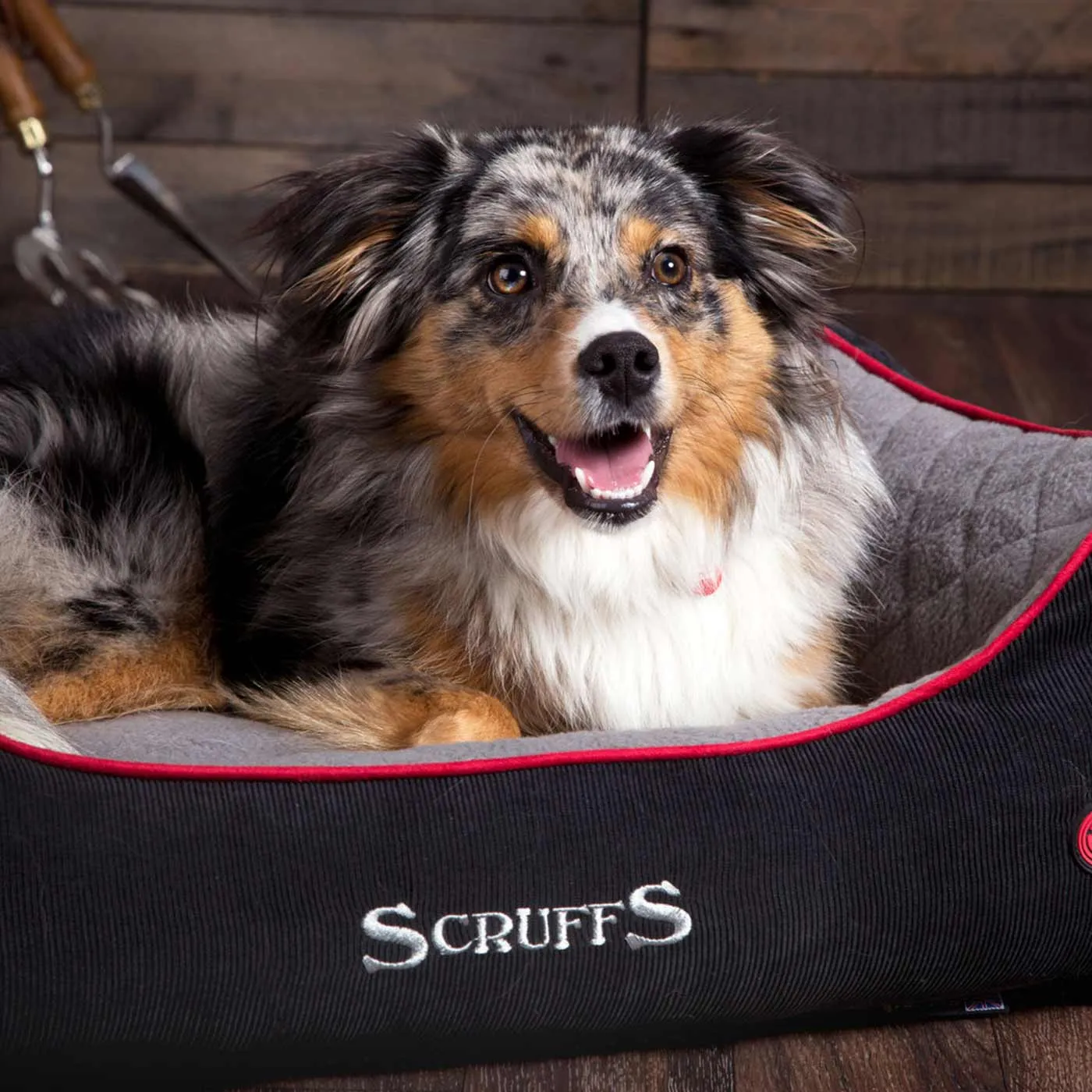 Scruffs Black Thermal Box Bed