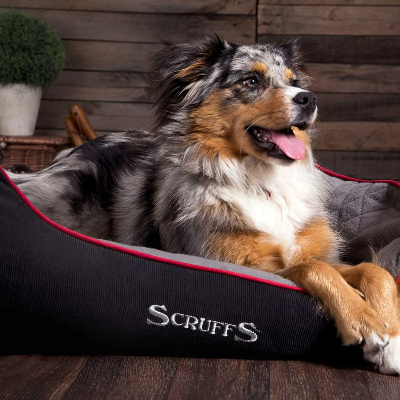 Scruffs Black Thermal Box Bed